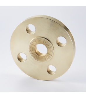 BRASS BLIND FLANGE (RF) : 1" 300#