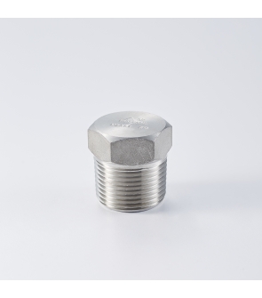 HEX. PLUG (SS304)  :  ½" NPT