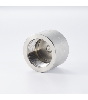 CAP (SS304)  : ½"  NPT